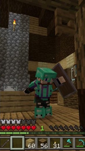 Cat BreakDance in Minecraft!