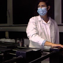 Video: Deep and Spatially Controlled Volume Ablations using a Two-Photon Microscope in the Zebrafish Gastrula