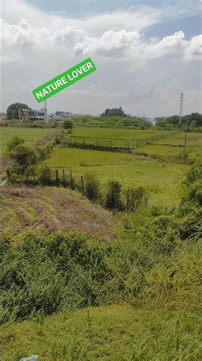 Solo Travel Vlog: Exploring Hidden Destinations Alone | Ultimate Freedom Journey 2025 🌍🚂 #shorts