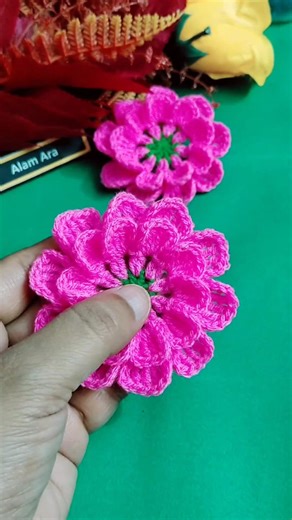 Absolutely 🤗😊💯Very Beautiful 👌👌 Two-layer crochet flower 🌺🌺in pink 🩷 #fblifestyle #crocjet #knitting #art #viral | Alam Ara