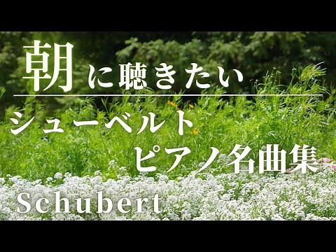【名曲クラシック】朝に聴きたいシューベルトピアノ曲集 気持ちの良い朝のスタートに♪BGM Schubert Piano