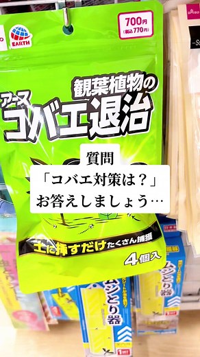 質問「コバエ対策は？」…お答えしましょう…#植物のある暮らし #コバエ#コバエソー #観葉植物