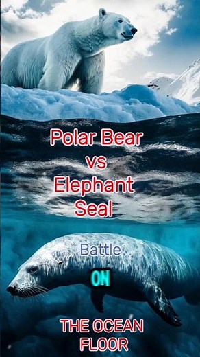 Polar Bear vs Elephant Seal: Intense Battle Beneath the Arctic Ice #facts #animals #ai