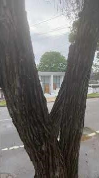 “Walking Through Hurstville Australia 🇦🇺 | Real Street Vibes”