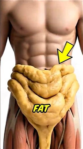 If You Ever Wondered Where Your Fat REALLY Goes (It’s Not Sweat!)😱