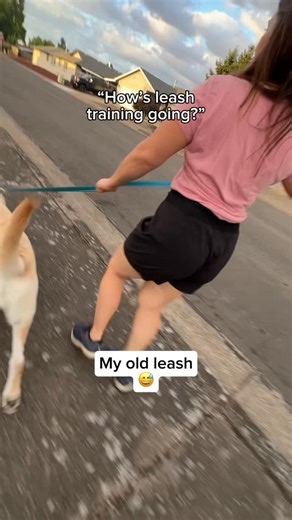 The Quick Control Leash has a second ergonomic adjustable handle that’s easy to quickly catch when you need it for calm reliable stability while you train and adventure. | Pacific North Pets