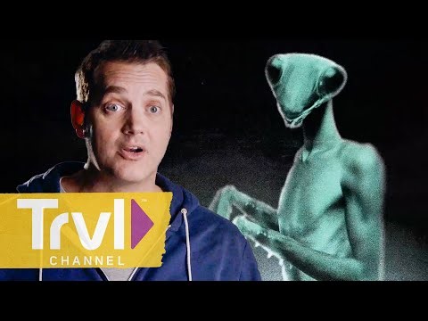 What Are Mantis Aliens? A Detailed Exploration