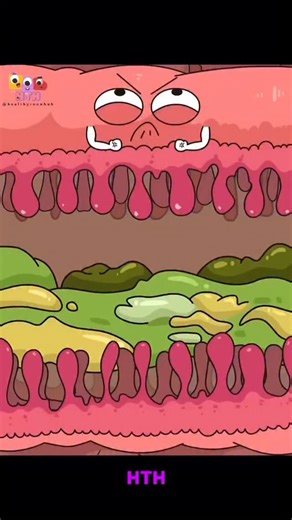 Ever wonder why radishes make you fart? 🫜💨 Radishes are packed with raffinose, a carb your gut struggles to digest. When it reaches your colon, gut bacteria feast on it — creating gas as a natural byproduct. 😅 Totally normal, totally healthy… just a bit noisy! - - - 👉 Follow @healthytoonhub for more funny, animated body facts! - - - - ⸻ Video Credit: Iron Doctor Xin8 #healthanimation #radishfacts #guthealth #bodyfacts #digestionfacts #healthtips #animationreels #cartoonhealth #fyp #medicalan