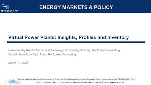 Virtual Power Plants: Insights, Profiles and Inventory