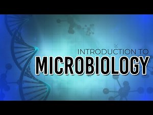 INTRODUCTION TO MICROBIOLOGY