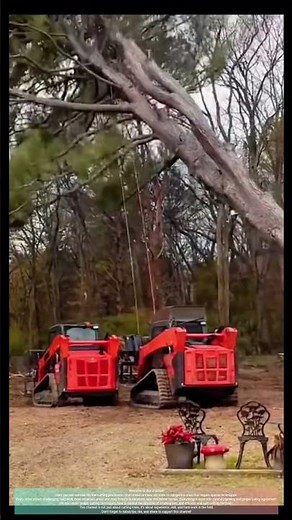 Dangerous Tree Cutting Gone Wrong cutting trees – Tree Falls on House!