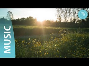 Divine Cleansing - Music Clip from Bruno Gröning Friends