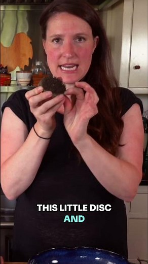 Ikebana: Japanese Flower Arranging Tutorial for Beginners #garden #gardening #ikebana #flowers