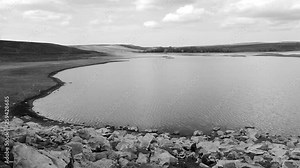 the first yellow flowers of spring, the arrival of spring, spring in the continental climate,