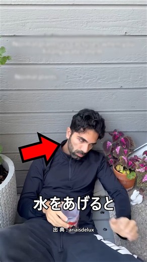 水をあげた時に分かる普通の植物とサボテンの違い