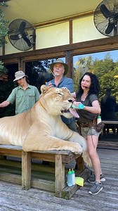 900LBS BIG BOY! | Myrtle Beach Safari Wild Encounters Tour