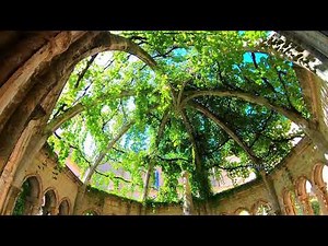 Abbaye Sainte Marie de Valmagne