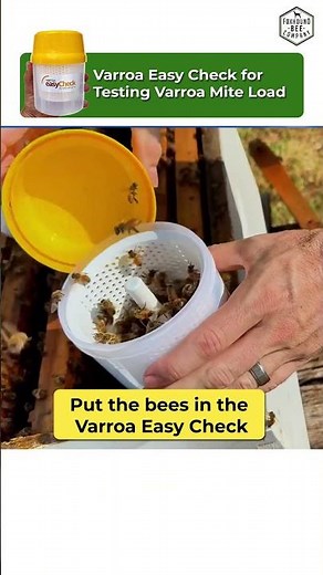 Varroa Mite Detection Made Easy Alcohol Wash with Varroa Easy Check