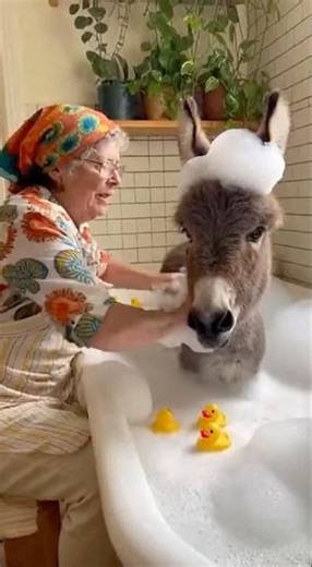 Cutest Bubble Bath Ever — Young Donkey & Grandma Moment