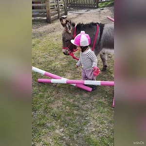 A Sunday treat, a little video of all things Mr Kipling (aka Donk) I know just how much you guys love this little fella. Enjoy! | The Pony Pals Family Storybooks