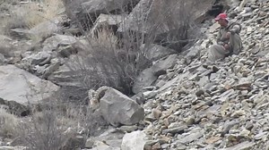 ibex hunting in hushe valley sakrdu | Ibex hunting