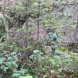 15K views · 546 reactions | As we do a family backpack on the Pacific Northwest Trail in northwestern Montana, some parts are tough going. My daughter took this clip of us struggling to cross a series of blown-down trees, over a creek no less. Builds character! | Nicholas Kristof | Facebook