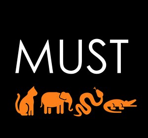 MuST - Multi-Stage Transformation Framework