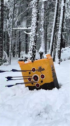 Tail end of a snowstorm, shooting my AF Archery Tatar bow.