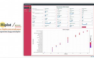 Hiplot-NoGenome-KEGG