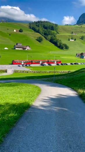 WONDERFUL SWISS 🇨🇭 on Instagram: "Sunny days, green hills and fresh mountain air ☀️🌿 The summer in the Appenzell feels like a little break from everyday life - cows on lush meadows, impressive mountain panoramas and this incomparable view of the Säntis 🏔️✨ 📽️ @world.from.my.eyes 📍Appenzell Switzerland 🇨🇭 #appenzell #outdoor #bikingadventures"
