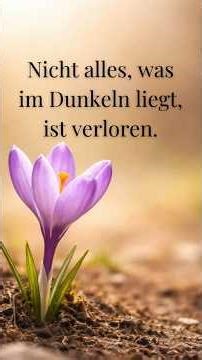 Nicht alles, was im Dunkeln liegt, ist verloren