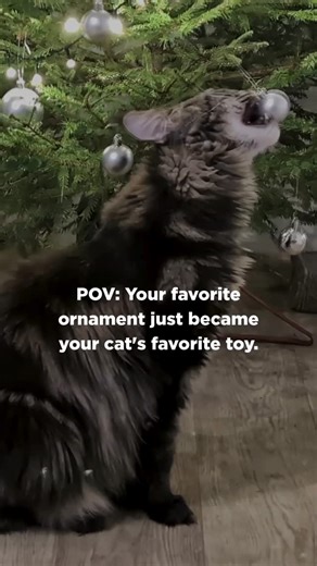 If this feels familiar, the Invisible Fence® Indoor Shields® Units might be your holiday hero! They keep curious paws off delicate décor - no gates, no eyesores, just peace of mind this season. Protect your pet and preserve your holiday memories. | Invisible Fence Brand