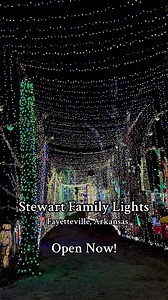 544K views · 3.7K reactions | Stewart Family Lights Fayetteville,...