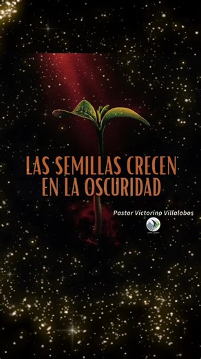 Victorino Villalobos 😆 (@victor36__)’s videos with as usual - Official Sound Studio