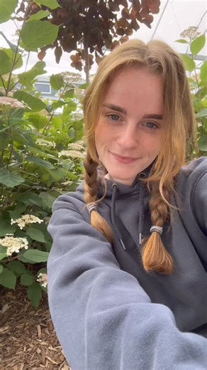 Shrubs that attract bees! 🐝 Would you add any of these to your garden? #bees #pollinatorgarden | Proven Winners ColorChoice Flowering Shrubs