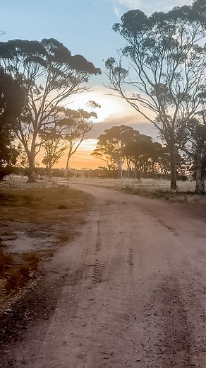 Spent this afternoon with the kids, just being. No rush, no agenda,...