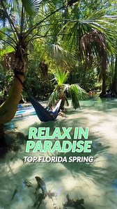 Can you guess which popular spring this spot is from? There are many springs all throughout Florida, but you need to willing to be explore them to find hideaways like this! 🌴💙 📷: @uncharted_wood Tag #mustseeflorida to share your experience in FL🍊R🌴DA! - Follow @mustseeflorida | Must See Florida