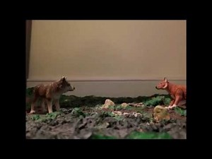 Stop Motion Animal Battles: Wolf vs. Dingo (read description)