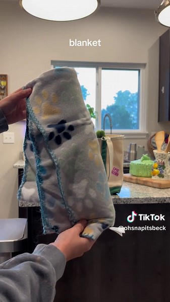 prepped for agility night tomorrow 😁 #dogtraining #dogtrainer #australianshepherd #dogagility #agilitydog #rescuedog @Open Farm Pet @Pawsome Dogsports