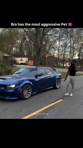 Bro's Most Aggressive Pet 😈💨 #Hellcat