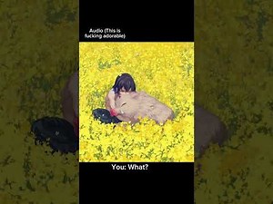 Inosuke Hashibira x Listener part 2 (You get injured)