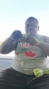 134K views · 606 reactions | Amarrando cangrejos en el Soco San Pedro de Macorís | Cosas De La República Dominicana. | Facebook