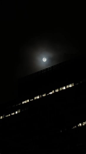 she’s so beautiful 🌕 #fullmoon #wolfmoon