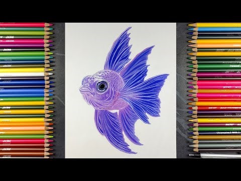 Realistic Beautiful Fish Drawing | Colour Pencil Timelapse Art