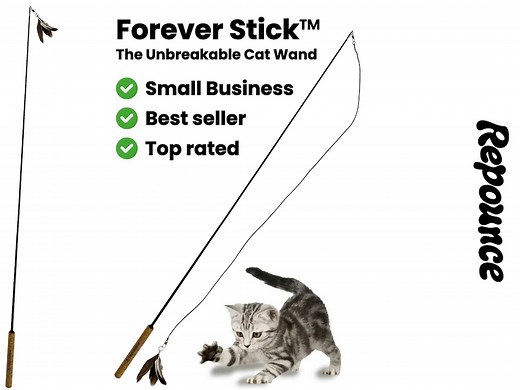 Forever Stick: the Unbreakable Cat Wand Toy - Extra Long, Durable, Reusable, Interactive Feather Teaser for Indoor Cats by Repounce - Etsy