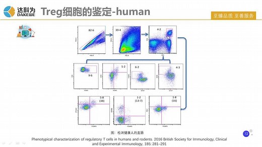 Treg 细胞 ——Treg的研究攻略与应用\n