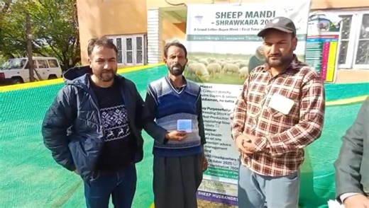 Engaging in sheep rearing can be a highly profitable and gratifying venture, allowing individuals to reap the benefits of their labor while experiencing a deep sense of satisfaction. | District Sheep Husbandry Office Baramulla