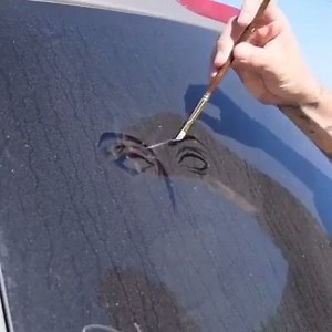 1.2M views · 37K shares | This guys dirty car window art is amazing! Credit: Rob The Original | Simtem | Facebook