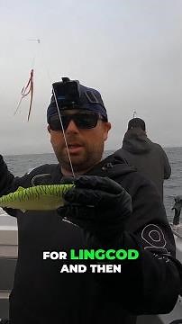 Epic Lingcod & Rockfish Catch- Fishing Adventure!