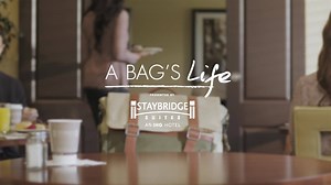 Your trusty travel companion knows the most important meal of the day is breakfast. | Staybridge Suites